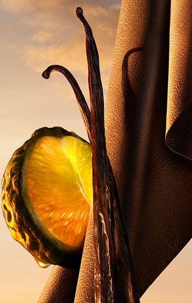 5326120 3Block Banner I WILL 390x615px.jpg